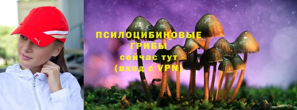 прущие крисы Вяземский